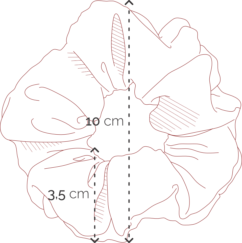 motto-rozmiar-gumek